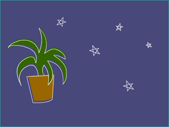 Potted plant and stars