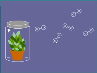 Plant in jar and O2 molecules