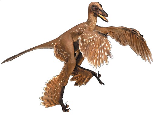 Sinornithosaurus