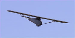 Replica glider in flight