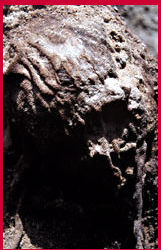 image of mummy in ground