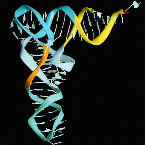 Transfer RNA