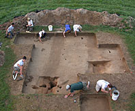 Pasture troweling