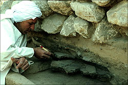 Backhoe trench in older excavation site, Square D-19