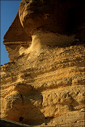 View of Giza Plateau