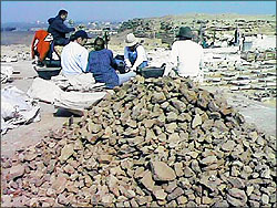 large pile of pot shards