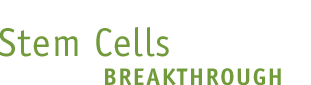 Stem Cells Breakthrough