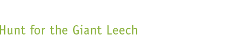 Hunt for the Giant Leech