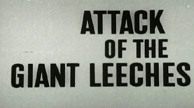 Leeches Video Extra