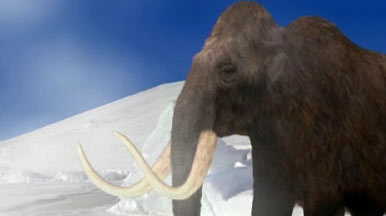 Mammoth Mystery Video Extra