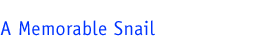 A Memorable Snail