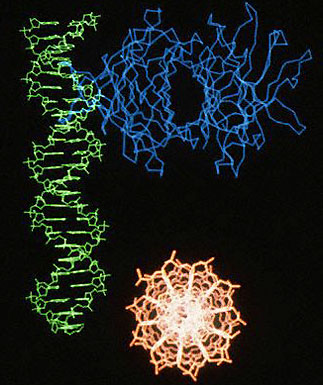 DNA and RNA