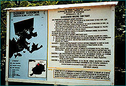 Barangay marine sanctuary sign