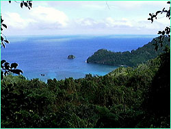 Wafer Bay from high on Cocos.