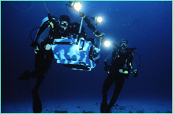 Howard Hall
(with IMAX camera) and Bob Cranston on the seafloor.