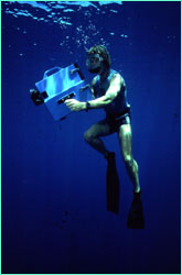 Klimley often takes an underwater
video camera with him on dives.