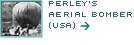 Perley's Aerial Bomber (USA)