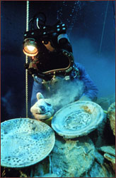 Diver with bowl