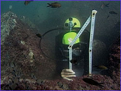 Diver measuring feature of block