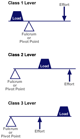 Diagram of three classes of levers