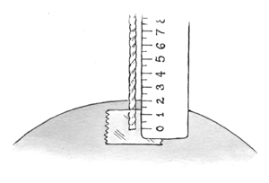 Ruler diagram
