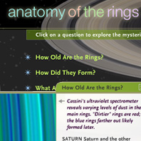 Anatomy of the Rings