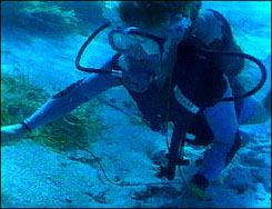 SCUBA diver underwater