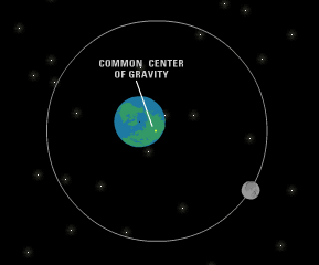 Step 3: Earth and moon revolve around common center of gravity