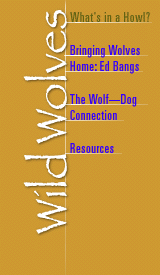 Wolves menu (see bottom of page for text links)