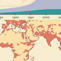 Human Numbers Through Time