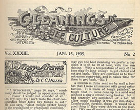 Gleanings in Bee Culture of January 15, 1905